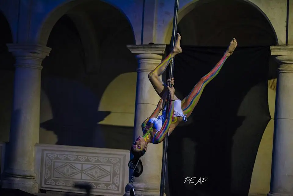 categoría pole dance